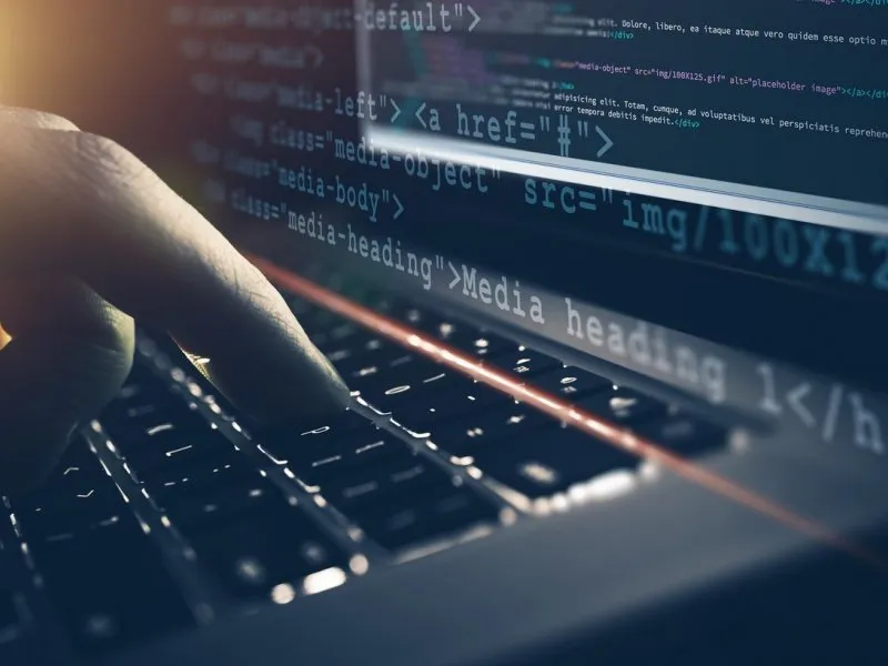 دور ومهام خبراء برمجة نظم إدارة المشاريع